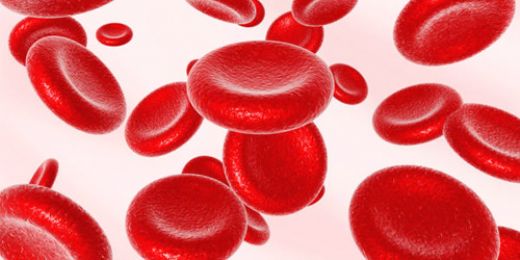 Hemoglobin Eksikliği